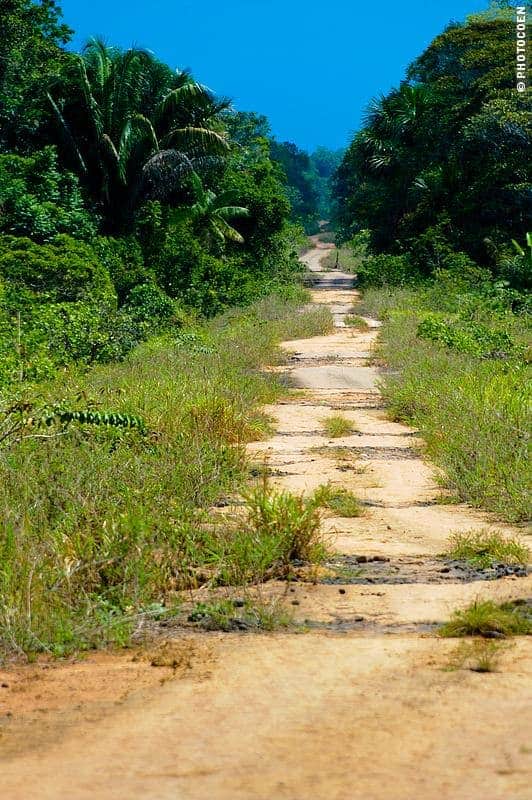 The federal highway BR-230 (the “Transamazônica”) was constructed in