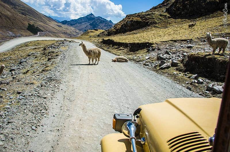 6 More Overlanders Tell Us Their Pan-American Stories